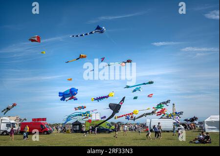 Overall view of the Southsea kite festival in July 2023, UK. Stock Photo