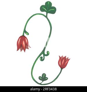 Watercolor illustration of a red floral monogram in a medieval style. Made by hand isolated on white background Stock Photo