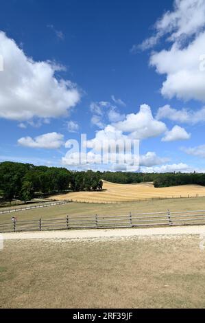 Ernstbrunn, Weinviertel, Lower Austria, Austria. July 29, 2023. Ernstbrunn Wildlife Park Stock Photo