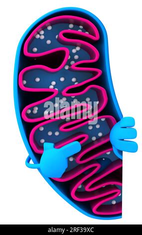 Fun 3D cartoon mitochondria character Stock Photo