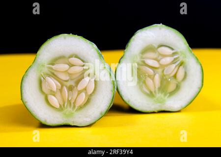 cut into half a ripe old cucumber, the seeds from which can be used to produce a new crop of cucumbers Stock Photo
