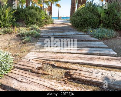 A path made of old wooden planks with broken boards, grass, and palm trees growing around and leading to the Mediterranean Sea in Larnaca, Cyprus. Stock Photo