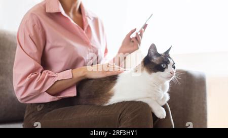 Cat Owner Woman Using Cellphone Holding Pet On Lap Indoor Stock Photo