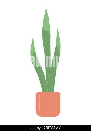 Decorative snake plant in pot semi flat colour vector object Stock Vector