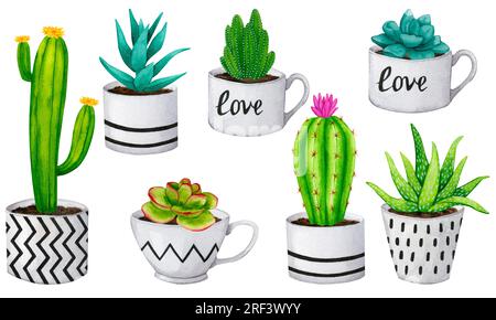 A large set of cacti and succulents in flower pots. Scandinavian, boho style. Collection of watercolor elements for card design, fabric printing, stat Stock Photo