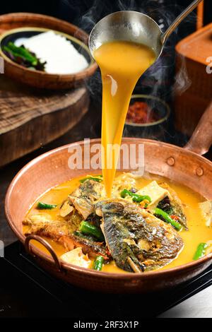 Stewed Fish Head with Tofu in Pottery Pot Stock Photo