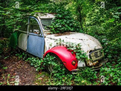 Last resting place of a classic Citroen 2CV car in a Derbyshire wood UK Stock Photo