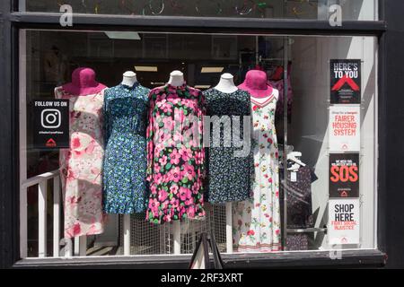 Shelter charity shop window in Crystal Palace, Westow Hill, Norwood, London, SE19, England, U.K. Stock Photo