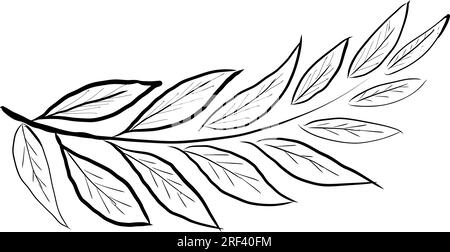 Leaves hand drawn. Line art. On a white background. Isolate Stock Vector