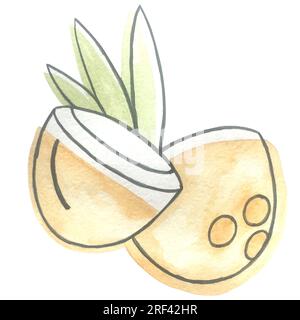 Watercolor coconut soy bean almonds goji corolla illustration Stock Photo