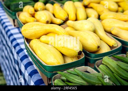 Vegetables on display at a local farmers market with focus on yellow, crookneck squash. Stock Photo