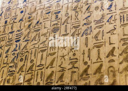 Ancient hieroglyphic spells in the Pyramid of Unas at Saqqara, Egypt Stock Photo