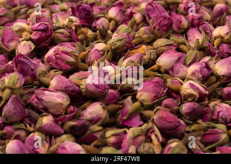 Dry tea roses isolated on a white background. Stock Photo