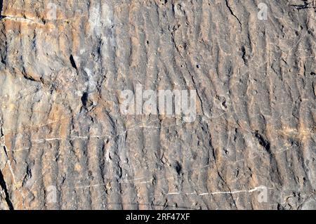 Ripple marks are sedimentary structures that indicate agitation by water. This photo was taken in Isona, Lleida, Catalonia, Spain. Stock Photo