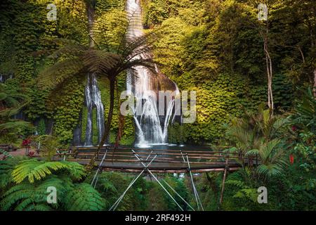 Waterfall with bridge and exotic plants in tropics. Jungle cascade waterfall in tropical rainforest with warm sun light Stock Photo
