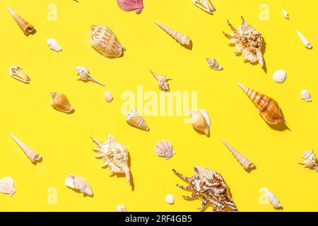 Composition with different seashells on yellow background Stock Photo