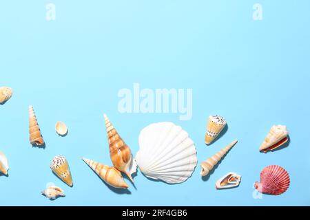 Composition with different seashells on color background Stock Photo