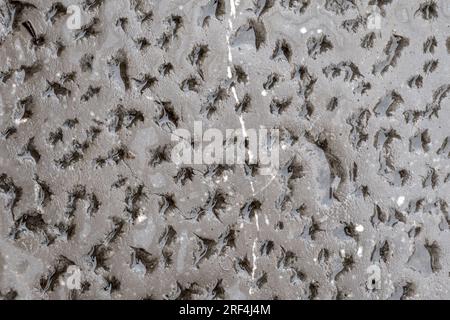 Wet cement wall background with shiny glossy perforated surface Stock Photo