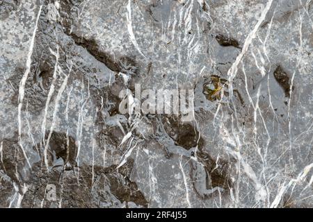 Wet stone wall. Water on a rock surface. Abstract background Stock Photo