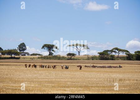 Great Rift Valley Kenya Landscapes Savannah Grassland Narok County Mai Mahiu View point Kenya Roads highway Ntulele Wheat Farm Mountains Hills Plants Stock Photo