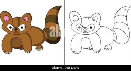 Raccoon coloring page outline and colored in version.  Coloring page for kids.  Simple coloring page Stock Vector
