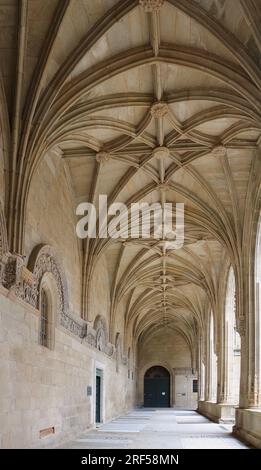 Covered walkway in the cathedral cloisters Santiago de Compostela Archcathedral Basilica Santiago de Compostela Galicia Spain Stock Photo