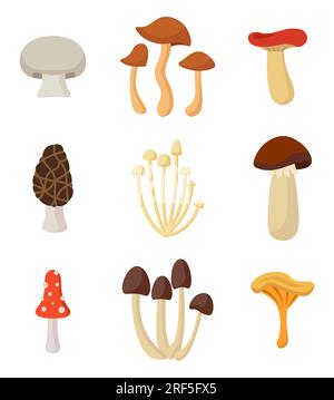 Set Of Mushrooms. Autumn Nature. Vector Illustration In Flat Style Stock Vector