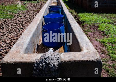 coffee dryer greenhouse solar dryer Structure for drying the coffee beans in Kenya Solar dryers were designed to provide efficient drying even in hazy Stock Photo