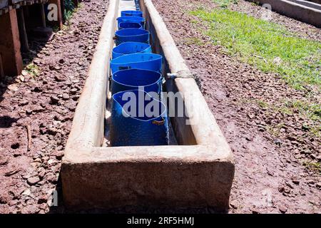 coffee dryer greenhouse solar dryer Structure for drying the coffee beans in Kenya Solar dryers were designed to provide efficient drying even in hazy Stock Photo