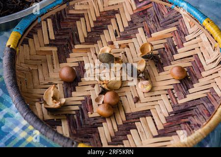 Macadamia nuts crashed on the weaved-open basket in Nairobi City County Kenya East Africa Farm Farming Stock Photo