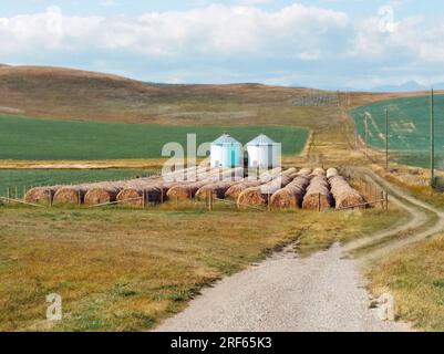 Nestled between the Rocky Mountains and the Canadian prairie, in the high ranching country of Alberta, is the historic Cowboy Trail. This scenic route Stock Photo