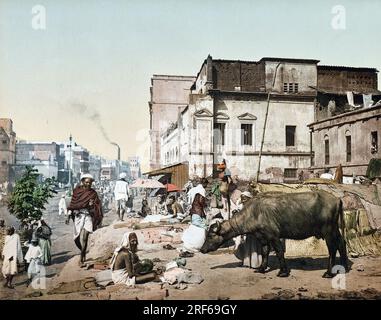 Straßenszene, mit Menschen und Kuh, Harrison Road mit einer Gruppe von Jogees, Jogis, Kalkutta, um 1890, Indien, Historisch, digital restaurierte Reproduktion von einer Vorlage aus der damaligen Zeit  /  Street Scene, with People and Cow, Harrison Road with a Group of Jogees, Jogis, Calcutta, c. 1890, India, Historic, digitally restored reproduction from an original of the period. Stock Photo