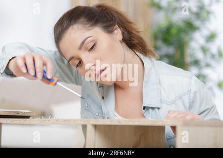 woman assembling wooden furniture using screwdrive Stock Photo