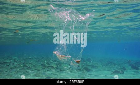 Plastic bag floating underwater. Transparent plastic bag drifts under surface of water, tropical fish swim nearby. Plastic pollution of Ocean, Red sea Stock Photo