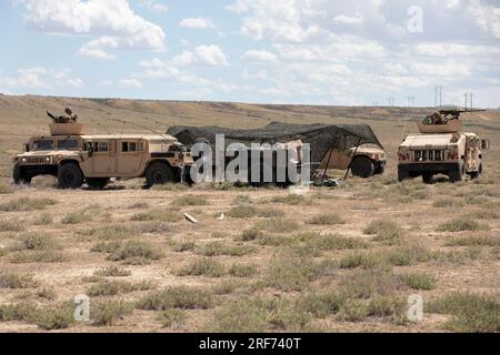 U.S. Army National Guard Infantrymen from Delta Co., 1st Battalion, 297th Infantry Regiment, set up a Platoon Command Post, Lovell Training Area, Wyo., May 16, 2023. (U.S. Army National Guard Photo by Pvt. Joseph Burns) Stock Photo