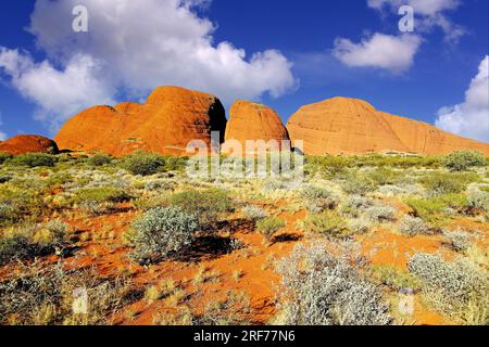 Olgas, Kata Tjuta, Northern Terrorities, Australien, Felsen, Stock Photo