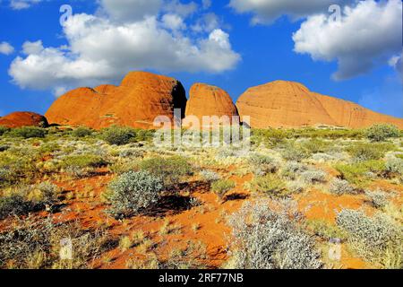 Olgas, Kata Tjuta, Northern Terrorities, Australien, Felsen, Stock Photo