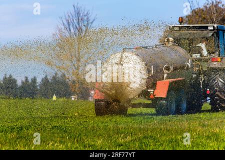 Ein Traktor düngt ein Feld mit Gülle, Herbst, Güllewagen, Stock Photo