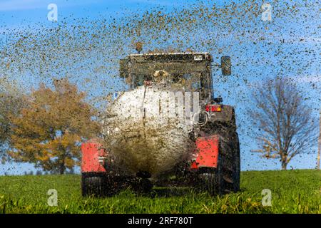 Ein Traktor düngt ein Feld mit Gülle, Herbst, Güllewagen, Stock Photo