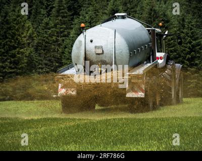 Ein Bauer fährt mit Gülle auf ein Feld zum Düngen, Trecker mit Güllewagen, Stock Photo