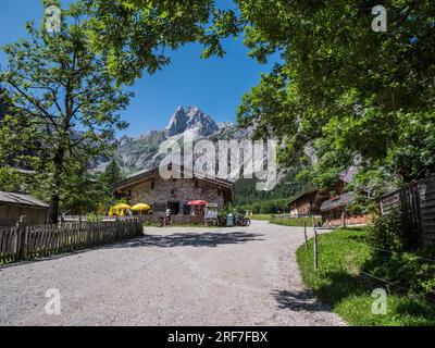 Pleasant alpine scenery near Gramai Alm in the Falzthurntal valley not far from the holiday resort of Pertisau on Lake Achensee in the Austrian Tirol Stock Photo
