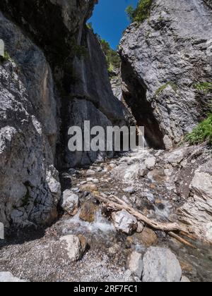 Pleasant alpine scenery at Gramai waterfall near Gramai Alm Gasthof in the Falzthurntal valley near the holiday resort of Pertisau on Lake Achensee Stock Photo