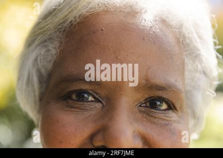 Portrait close up of happy senior biracial woman smiling in sunny garden at home Stock Photo