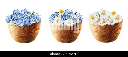 Watercolor set with wooden mortars with cornflowers and chamomile isolated on white background. Beauty products and botany elements, cosmetology and m Stock Photo