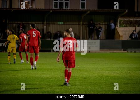 Harrow FC football club, match at Harrow grounds Stock Photo