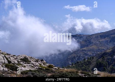 Landscape photography is like shooting fish in a barrel in Mallorca, you honestly can't miss. Stock Photo