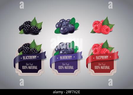 Realistic Berry labels set with blackberry, blueberry and raspberry fruits isolated. Berry jam label design template. Stock Vector