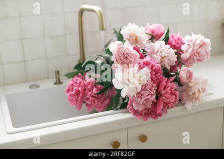 Beautiful peonies in sink on background of brass faucet and white counter in new scandinavian house. Pink peony and roses flowers in modern kitchen in Stock Photo