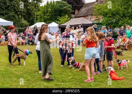 A Rosette Is Given To The Winning Dog and Owner In The Fairwarp Fete Dog Show, Fairwarp, East Sussex, UK Stock Photo
