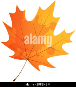 Withered maple leaf. Fallen autumn maple leaf icon. Stock Vector